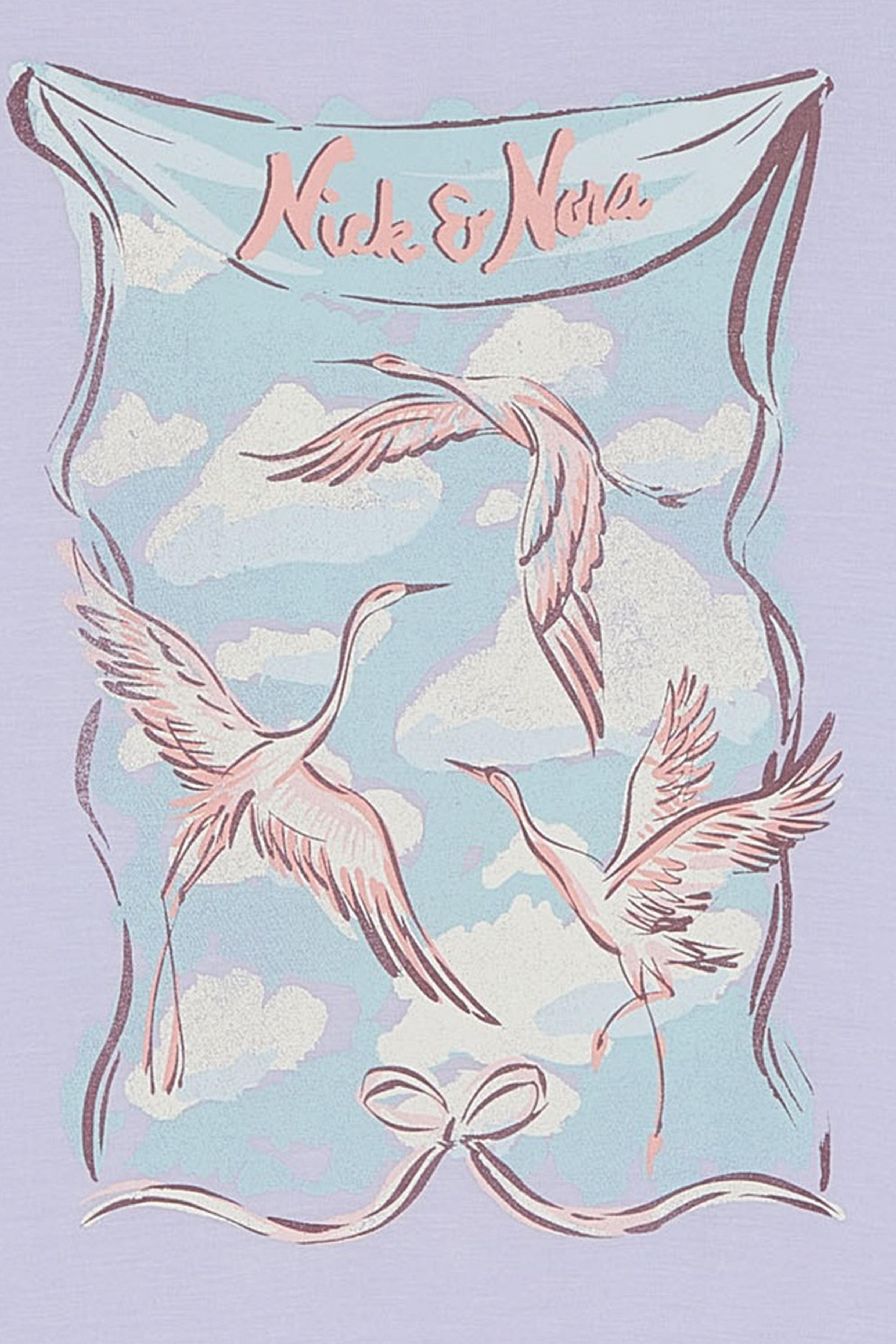 Product shot of Birds of a Feather Oversized Sleep Tee Shirt by Nick & Nora